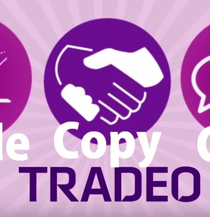 Les risques de trader sur Tradeo