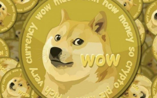 Doge principale