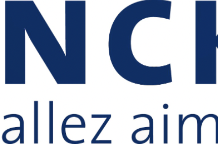 Binckbank avis 2025 : faut-il investir sur cette plateforme ?