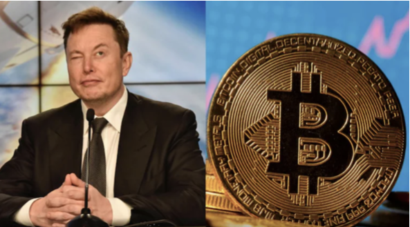 tweet musk bitcoin