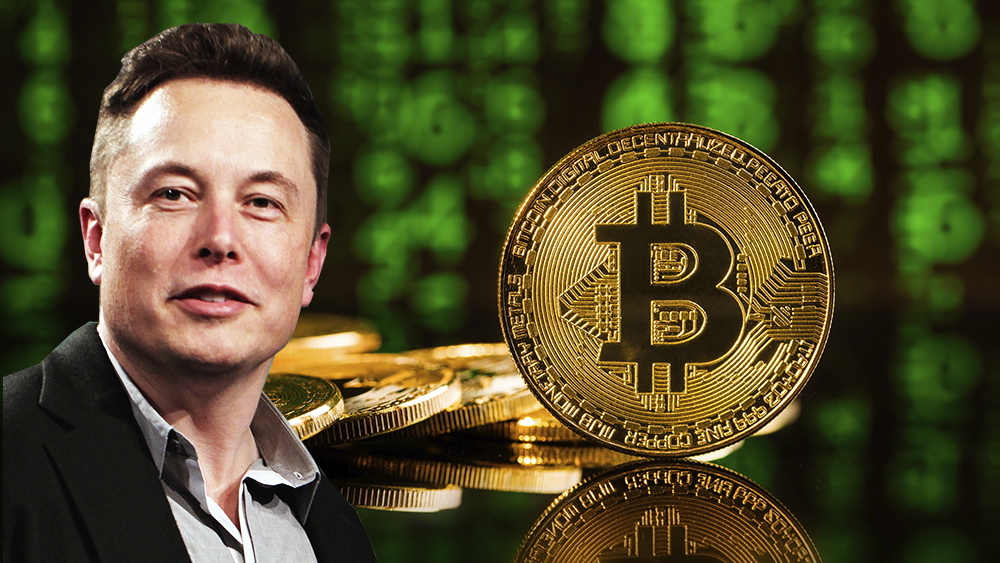 elon musk bitcoin