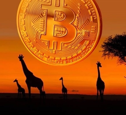 Bitcoin en Afrique : le volume d’échanges explose et dépasse l’Amérique du Nord