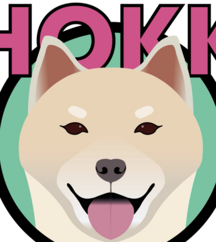 Alerte au scam pour la crypto Hokkaido Inu (HOKK)