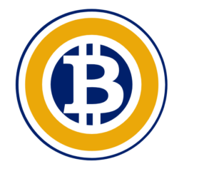 Bitcoin Gold cours : évolution et prédictions