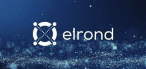 elrond avis