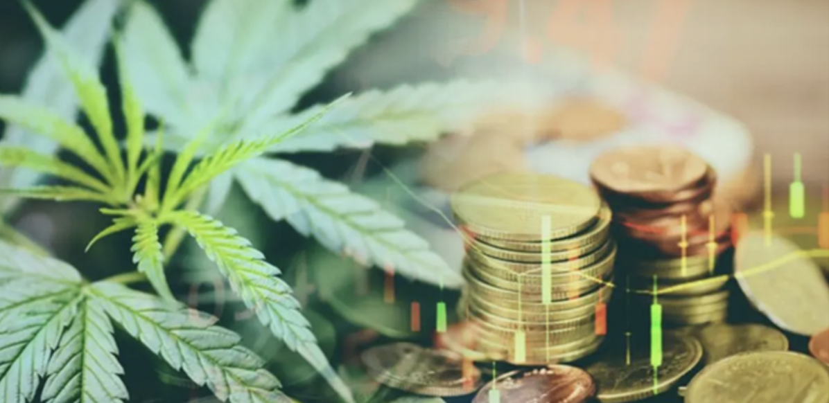 investir cannabis