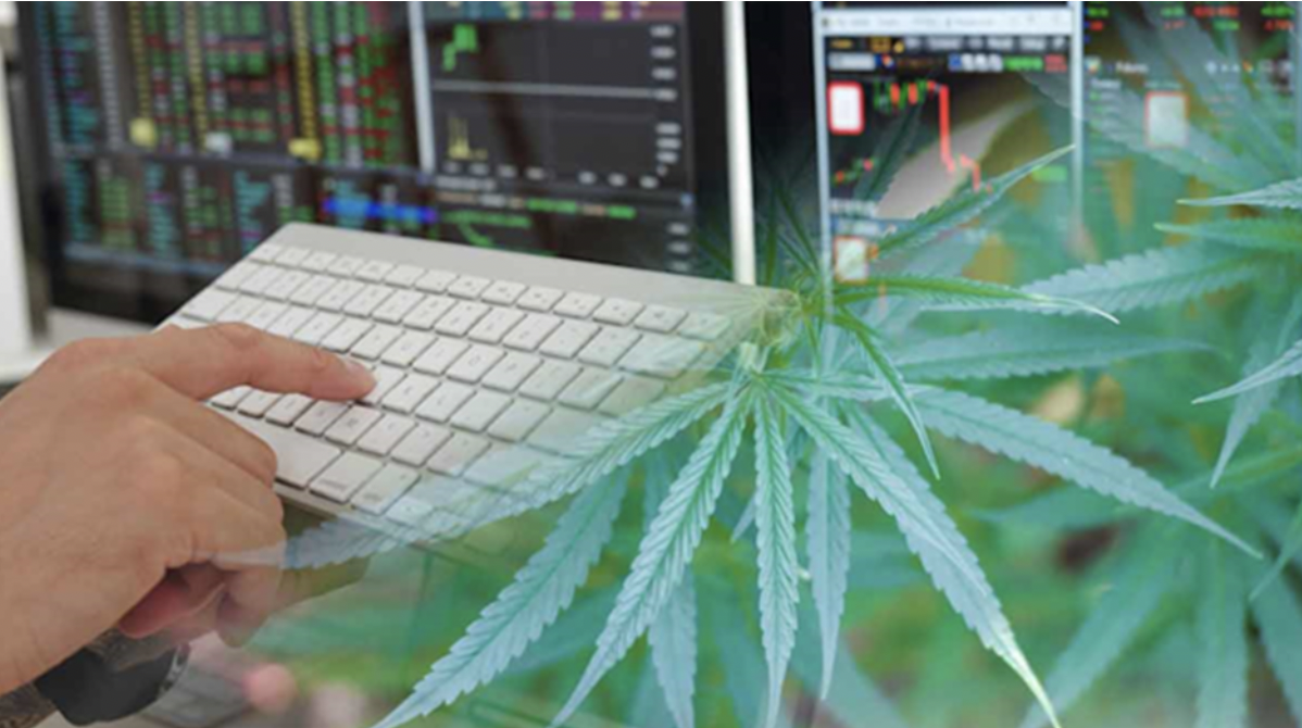 investir cannabis