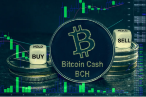 Bitcoin Cash (BCH)