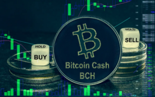 Bitcoin Cash (BCH)