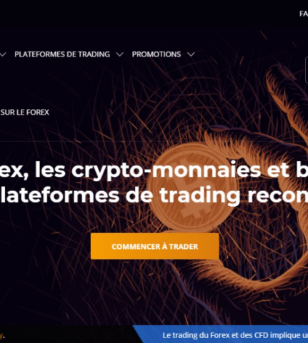 Triton Capital Markets Avis 2023: Un piège pour les investisseurs ? Triton Capital Markets Avis 2023: Un piège pour les investisseurs ?