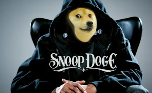 SnoopDoge