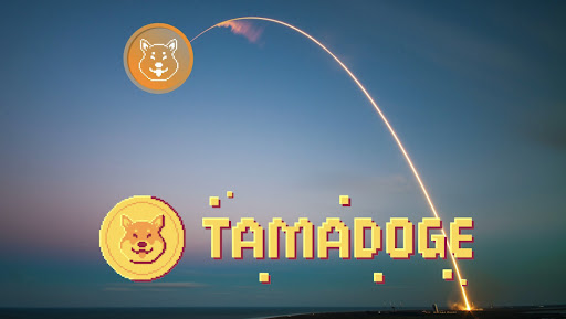Tamadoge