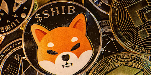 Dogelon Mars Investir