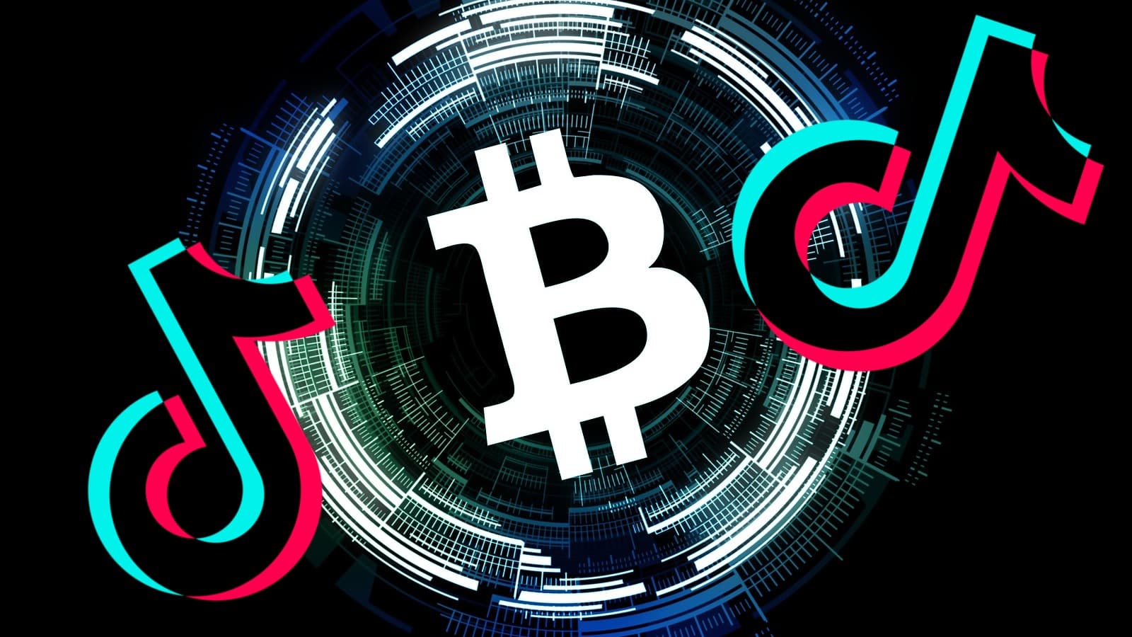 Seul un compte TikTok sur dix étudiés contenait une forme quelconque d'avertissement, et la portée globale des comptes était en fait assez importante.