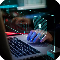 Sécurité au Tortuga Casino