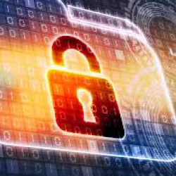 Sécurité au Mrxbet