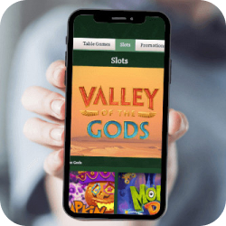 Casino mobile au Dublinbet 