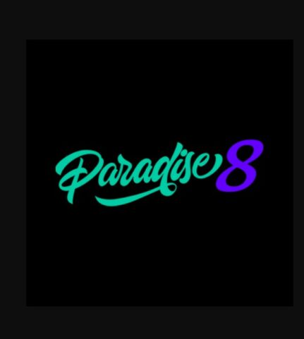 Casino Paradise 8: Bilan 2024